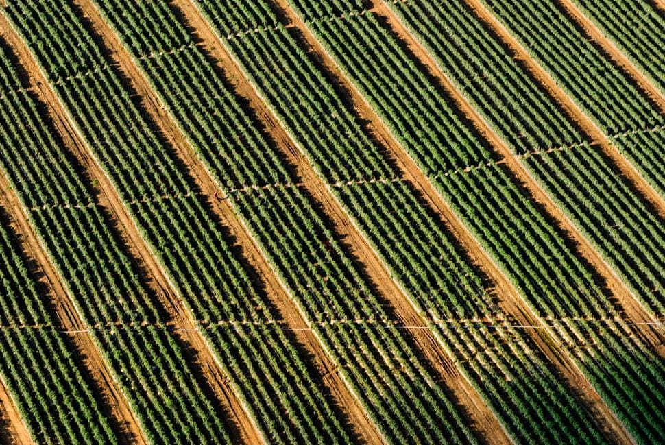 Aerial view of Canterbury farmland