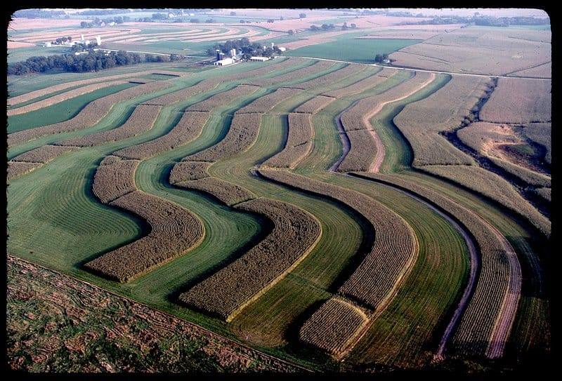 Canterbury farmland