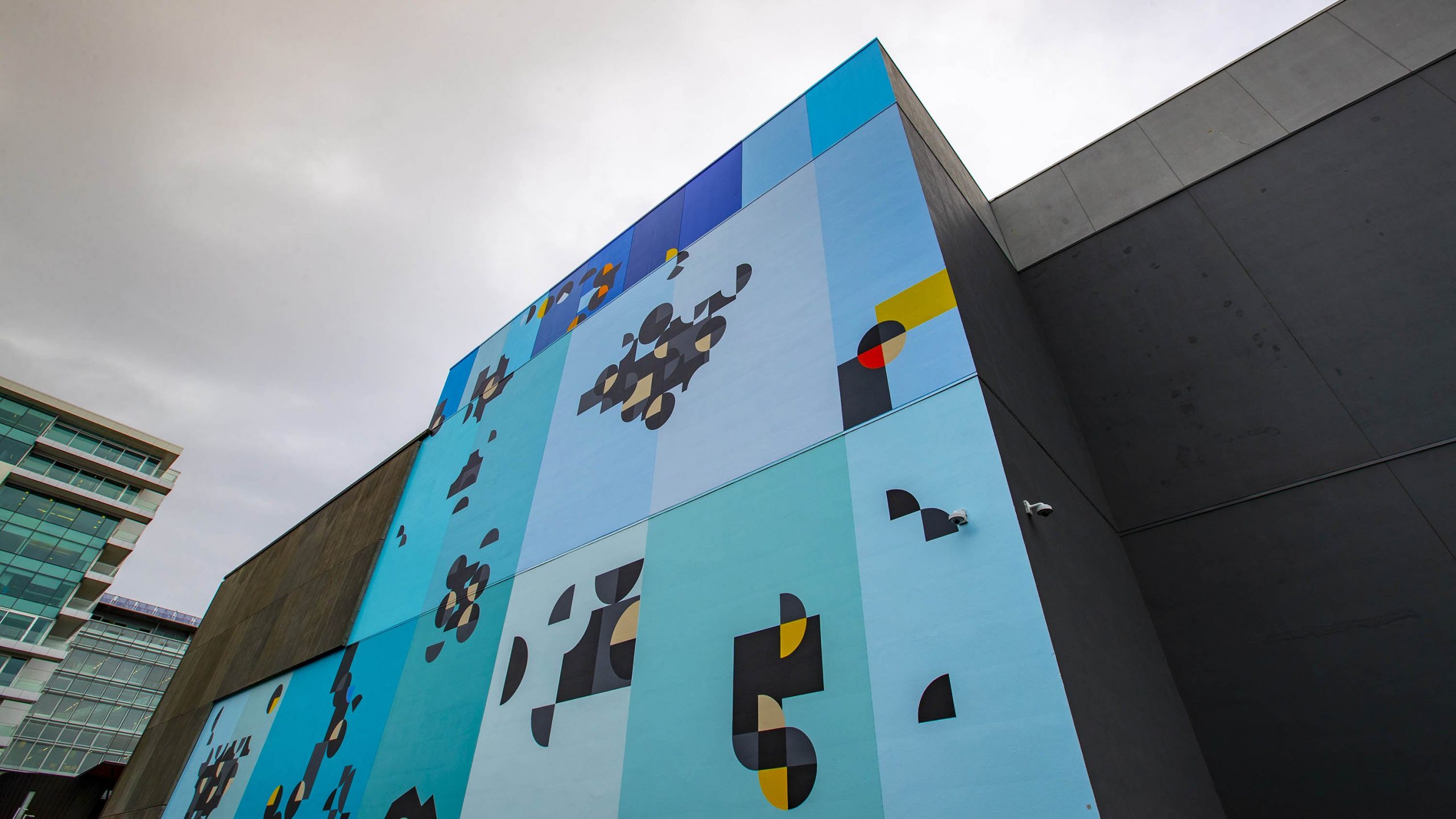 Giant wall painting marks opening of new art exhibition : Newsline