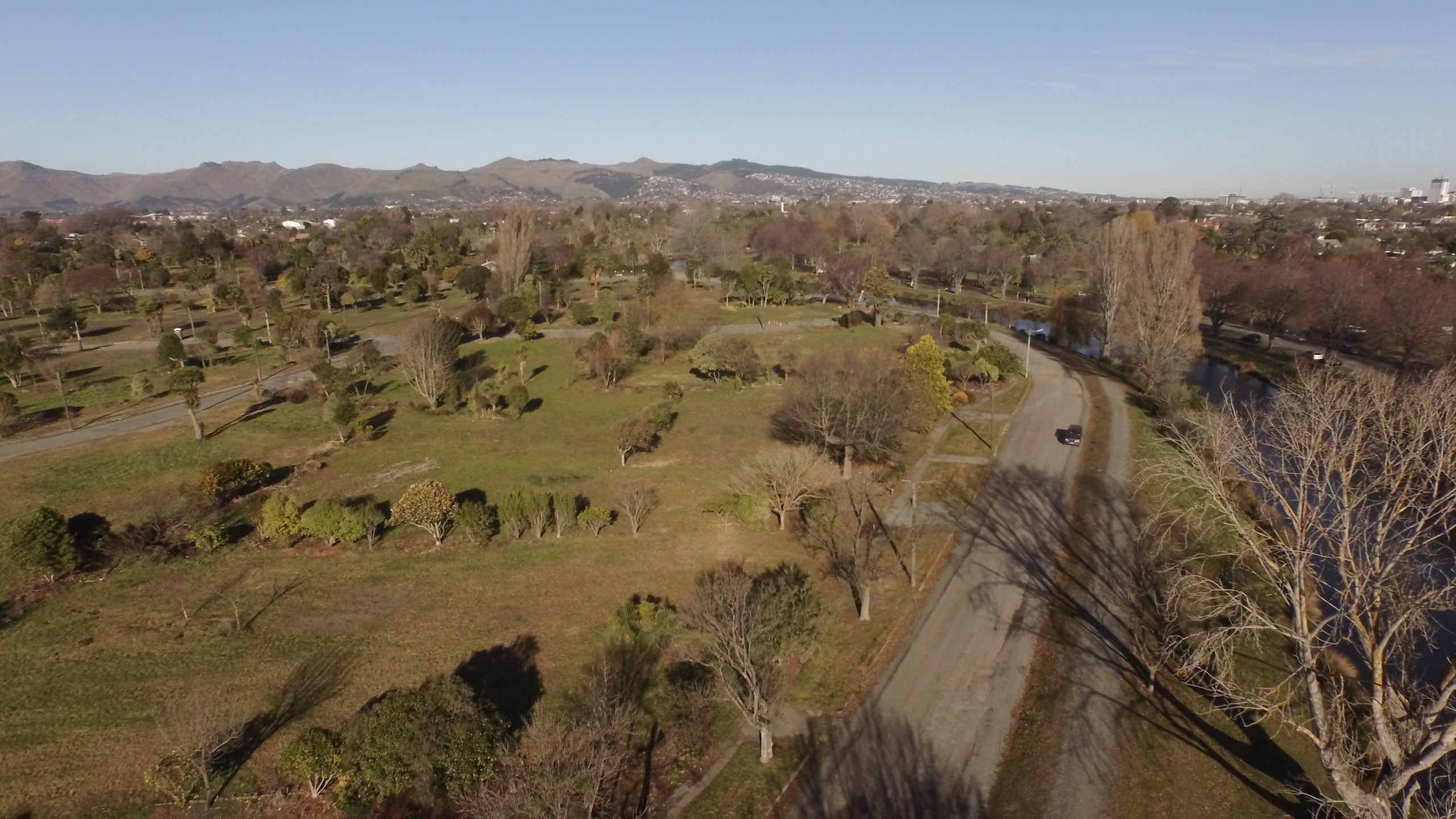 Plans to sprout Christchurch tree canopy
