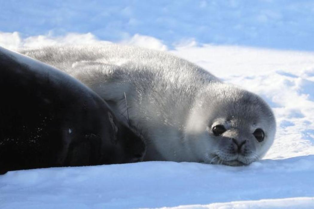 UC expert on The Conversation about the world's oceans