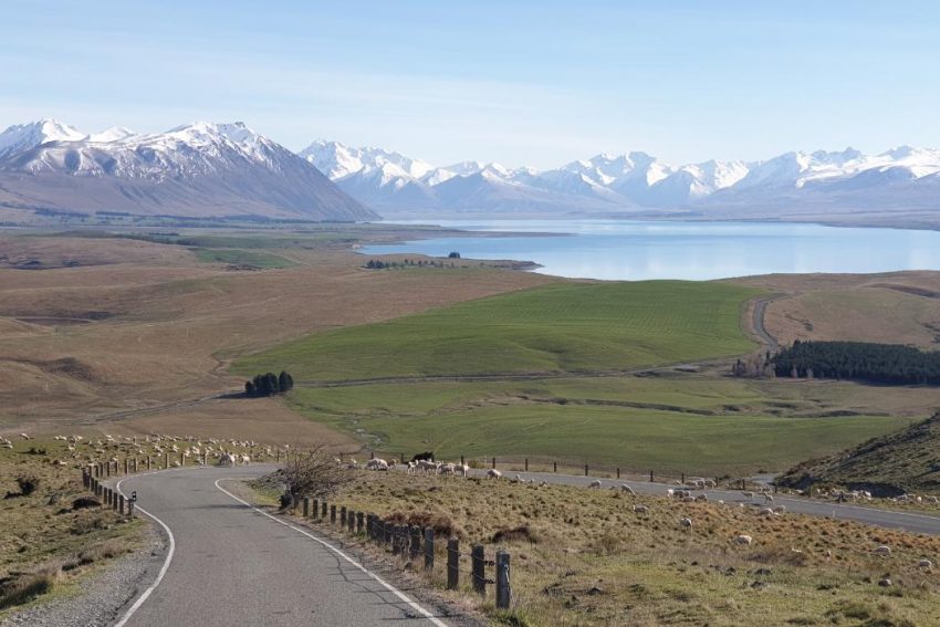 Te Pūheke opens a pathway towards improved environmental stewardship