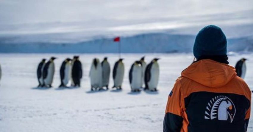 ‘Polarising’ The Public: Scientists Converge On Aotearoa’s Antarctica Gateway To Inspire Next Generation